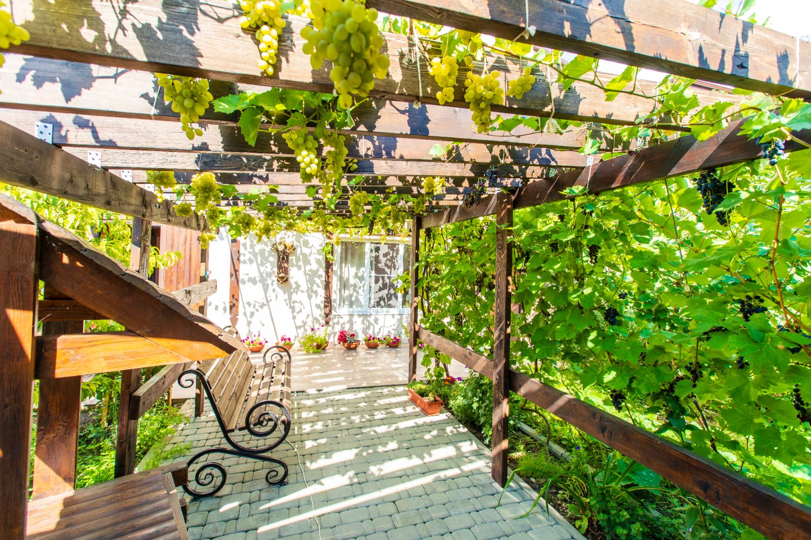 Pergola je odlična zaščita pred soncem za terase